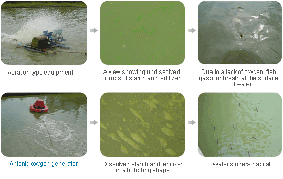 Comparison of water quality improvement