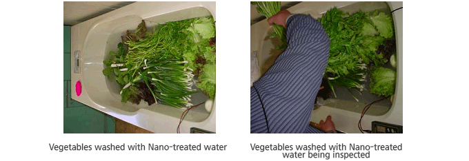 expiration 
                                                of vegetables