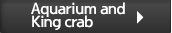 Aquarium and King crab